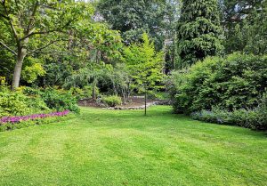 Optimiser l'expérience du jardin à Gouy-les-Groseillers